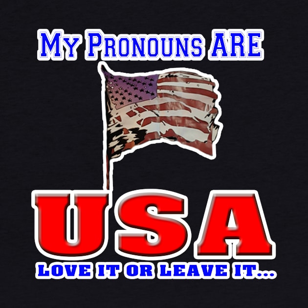 My Pronounce are USA! by Political Gaffes